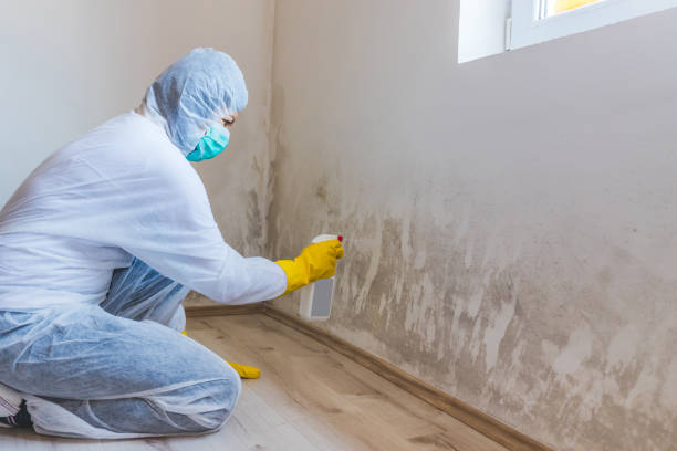 Licensed Commercial Mold Remediation service in Melrose, MN - WQB Mold Removal
