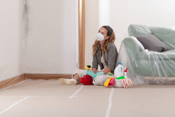Reliable Commercial Mold Remediation contractor in Melrose, MN by WQB Mold Removal